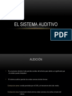 Elsistemaauditivo 110208180701 Phpapp01