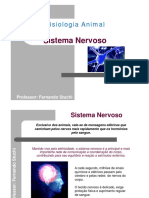 Sistema Nervoso