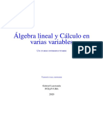 Larotonda - ALyCVV 2021 Imprimir