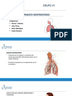 Aparato Respiratorio