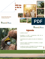 04032022 Balance2021 y Perspectivas 2022delaagroindustria de La Palma de Aceite CMG