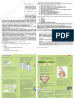 Proyecto de Medio Ambiente Purificador de Agua