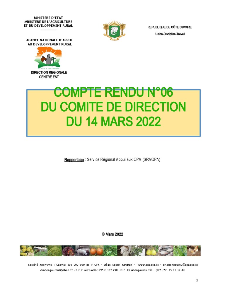Compte Rendu Du Comite de Direction N06 2022 | PDF | Affaires
