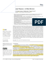 Gastrointestinal Stromal Tumors-A Mini Review