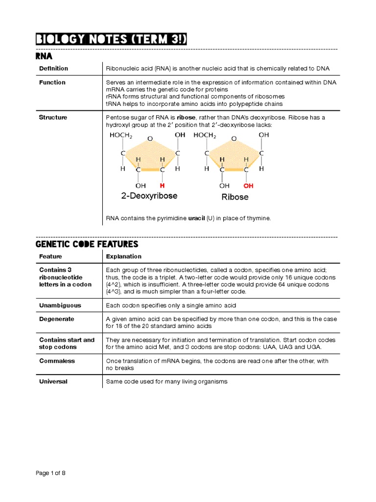 Bio Notes t3 Kim Chia 20121 | PDF | Translation (Biology) | Rna