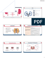 PDF Sistema Renal