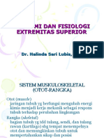 An-Fis Extremitas Superior