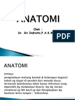 Anatomi Manusia PPT