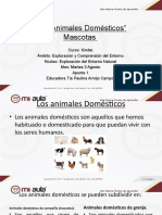 APUNTE - 1 - LOS - ANIMALES - DOMESTICOS Kinder