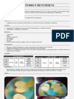 Metodo Cientifico