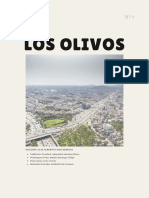 Plan Metodologico-Los Olivos