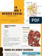 Nervio Trigémino y Nervio Facial