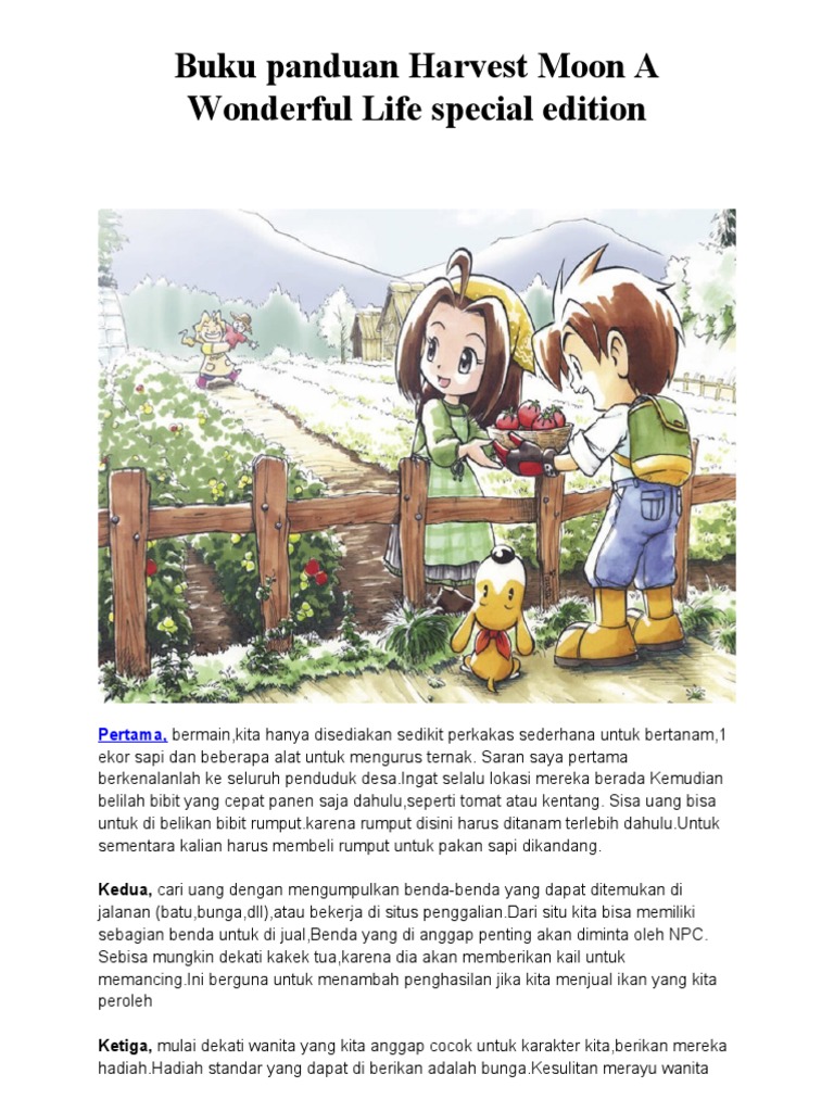 Harvest Moon A Wonderful Life SE