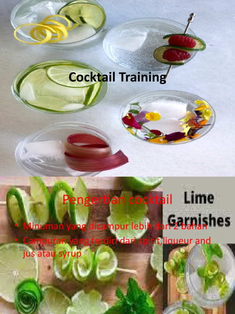 Cocktail Training PDF