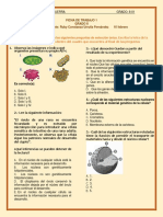 Ficha de Trabajo 1 10 de Febrero