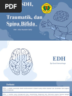 EDH SDH ICH dll