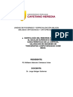 Monografía Morfología Del Hueso Alveolar - FINAL