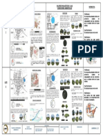 Analisis Comparativo