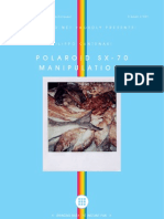 Understanding Polaroid SX-70 Manipulation Techniques (40