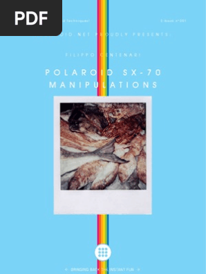 Polaroid_sx70manip