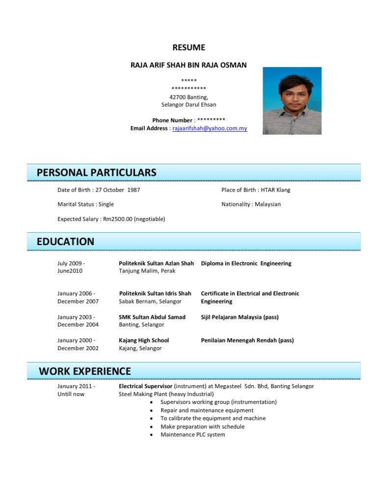 Contoh Resume Pdf