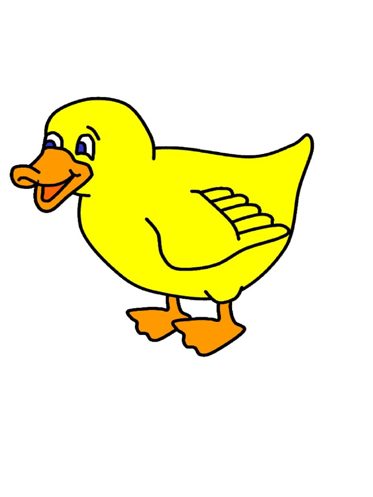Duck | PDF