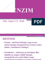 Enzim 1