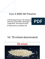 Curs 4 AMG MI Pneumo