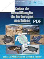 3EVN2LK5 - IOTC-Portuguese - Marine - Turtles - 2021