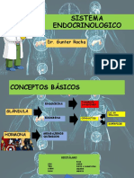 Sistema Endocrino