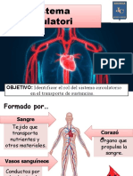 8° Sistema Circulatorio 1