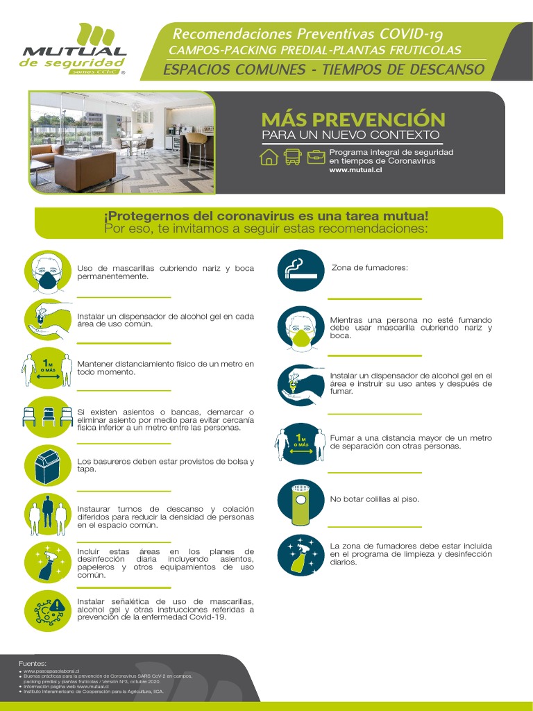 02 Afiche Espacios Comunes y Descanso V2 | PDF | Medicina | Epidemiología