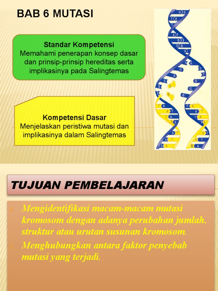 Mutasi Gen dan Implikasinya | PDF | Ilmu Sosial