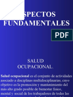 Salud Ocupacional e Higiene