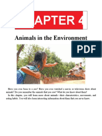 Animals in The Environment