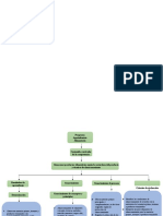 Mapa Conceptual