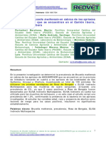 Prevalencia de Brucella Melitensis en Cabras de Los Apriscos