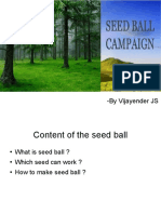 How to Make and Use Seed Balls for Reforestation