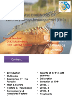 Disease Diagnosis Of: Enterocytozoon Hepatopenaei (EHP)