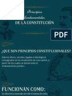 Principios Fundam. de La Constitución