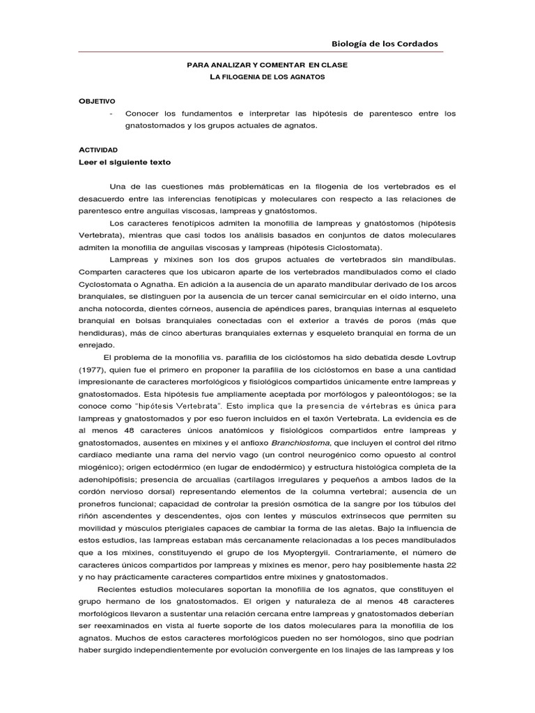 Para Analizar y Comentar en Clase | PDF | Vertebrados