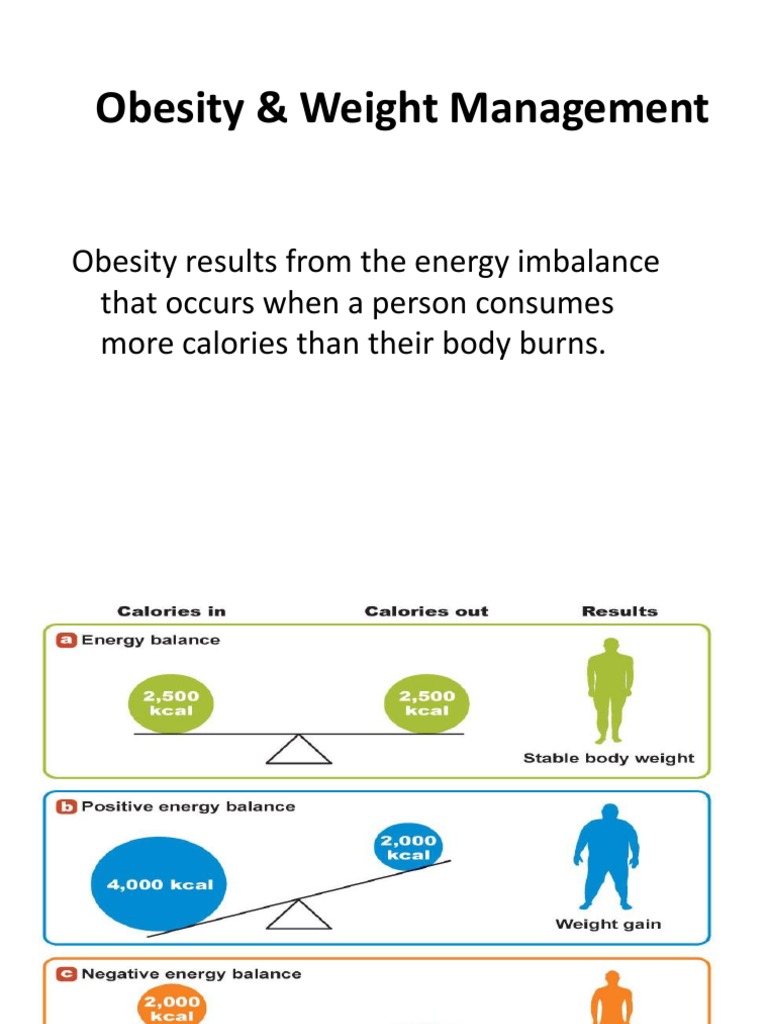 Nutrition intelligence overview