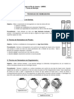 Técnicas de Semeadura