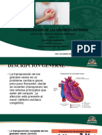 Transposicion de Las Grandes Arterias-Jose Alexander Martinez Mancilla