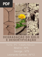 Degradação Do Solo e Desertificação