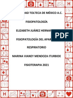 Marina v. - Fisiopatología Del Sist. Respiratorio