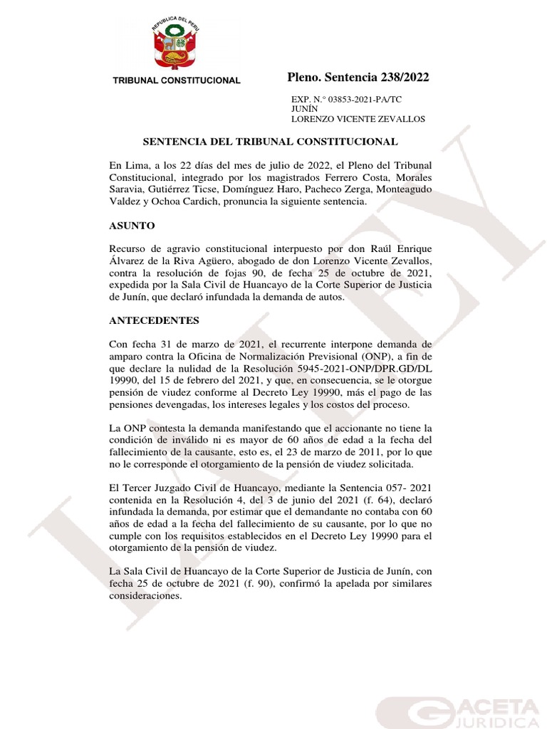 Pleno. Sentencia 238/2022: Sentencia Del Tribunal Constitucional | PDF