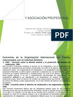 La Coalicion y Asociacion Profesional