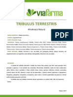 Tribulus terrestris: propriedades e benefícios