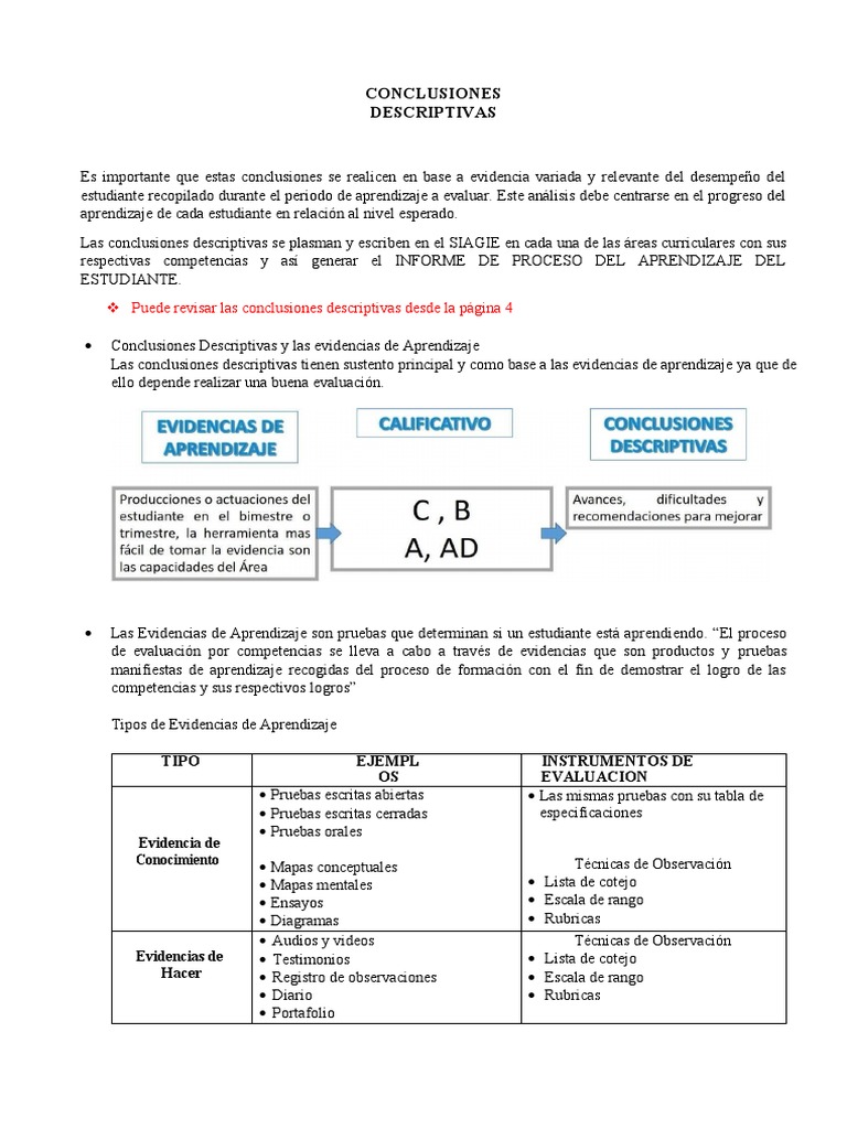 Conclusiones Descriptivas Inicial 2024 | PDF | Evaluación | Aprendizaje